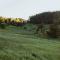 Danish hotel surrounded by nature. Konga Stay.