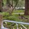 Serenity House Pemberton Cottage & Wellness Spa