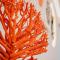 Q Coconuts Seaside Suites - Limassol