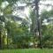 Liyara Nature Farm Resort - Gampaha