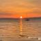 The Paddock