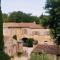 Mas des Comtes de Provence