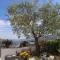 Casa Vale do Douro