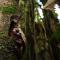 Suchipakari Amazon Eco -Lodge & Jungle Reserve