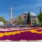 Tulip City Hotel