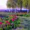 Hotel Joseph Conrad SPA & Wellness - 皮什
