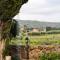 Tenuta Rustìca 1519