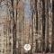 The Woodland Lodge Gisselfeld - Haslev