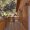 Stylish Elysian Big Bear Cabin w Enclosed backyard - مدينة بيغ بير