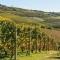 Awesome Home In Loazzolo With Wifi - Loazzolo