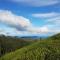 Wintry Hills-Nuwara Eliya
