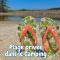 Camping Paradis le Moulin des Oies - 贝尔兹