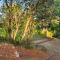 Roo hills sea view chalet