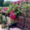 Eva Gardens corner house with stunning garden and huge swimming pool next to CORAL BAY