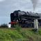 Florita - Dawlish