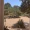 Casa Goro Formentera