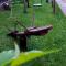 Apartmani GS ***** Zavidovici