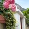 Il Cigno B&B