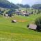 2-Bedrooms Apartment in a Chalet - Meiringen