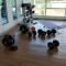 Idea Homestay 2 - 怡保 Idea Homestay 2 - 怡保
