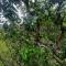 Ekantha Homestays & Resorts