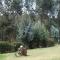 San Mateo Hotel Campestre