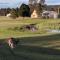 Madigan Cottages - The Kookaburra Cottage