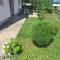 Apartmani Ruža - Podgorica