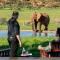 Gorah Elephant Camp