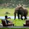 Gorah Elephant Camp