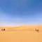 Chegaga Starlight Camp - Mhamid Desert Haven