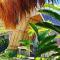 The Hideaway Canggu