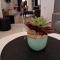 Apartman Magic moments Stari Grad
