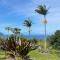 Waipio Ocean View Oasis - Kukuihaele