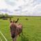 Holmside