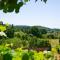 La casa nella vigna [colline del vino]