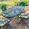 Private Home in Ocala with Fenced Yard, Piano, Central Location, Pets Welcome