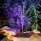 Glamping-Zingo - Santa Ana Jilotzingo