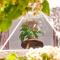 Glamping-Zingo - Santa Ana Jilotzingo