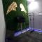 Lavica Luxury Suites