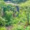 Artsy Cabin on Organic Farm - Naalehu