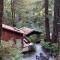 Lofted Studio Cabin in the Redwoods! - Notleys Landing