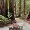 Lofted Studio Cabin in the Redwoods! - Notleys Landing