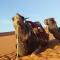 Merzouga camel trek