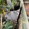 House in the Forest Doisaket - Ban Thung Ma Nieo