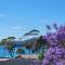 Dolphinview