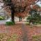 Gloria of Healesville