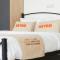 KeyGo #0036 I 1 Bedroom I Balcony I City Center