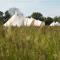 Luxury Glamping - Heydaze - Lostwithiel