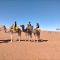 Chegaga Starlight Camp - Mhamid Desert Haven - Mhamid